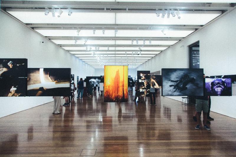 Photo d'une galerie d'art avec plusieurs tableaux