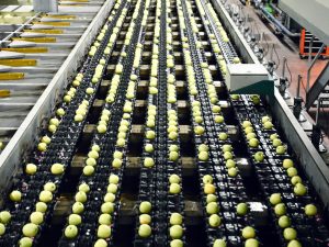 Intervention d'un manager de transition MOMEN dans l'agroalimentaire