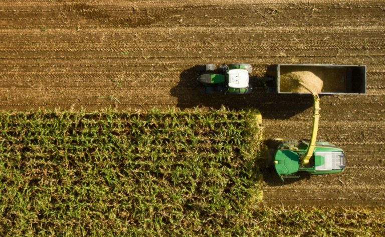 référence COO agroalimentaire MOMEN management de transition