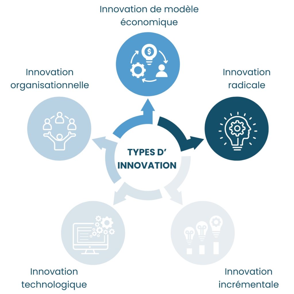 Graphique des types d'innovation mentionnés dans l'article