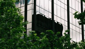 faire appel à un manager de transition pour lancer une démarche rse entreprise