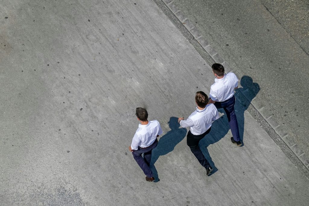 cabinet management de transition