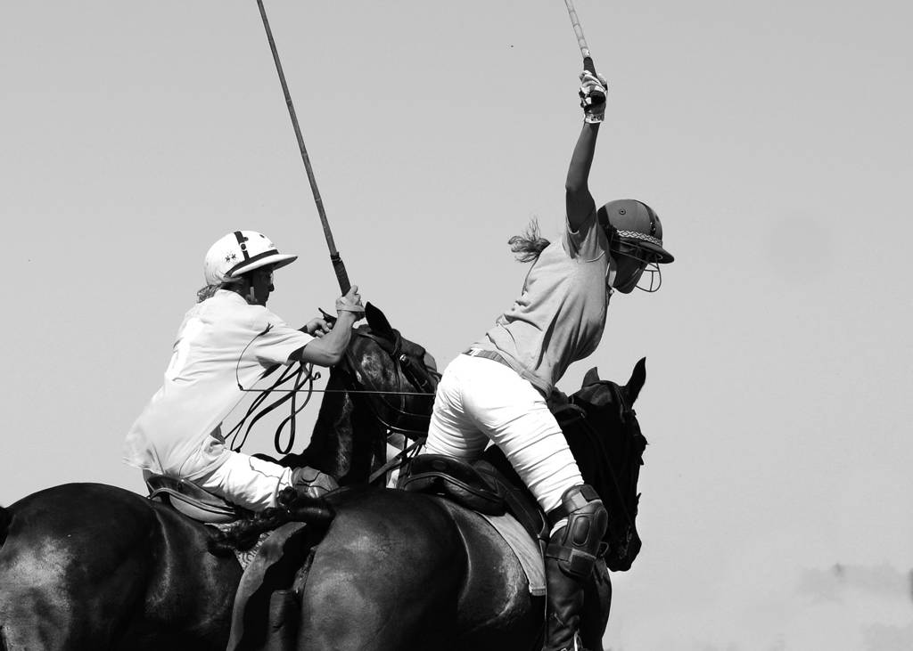 joueurs de polo