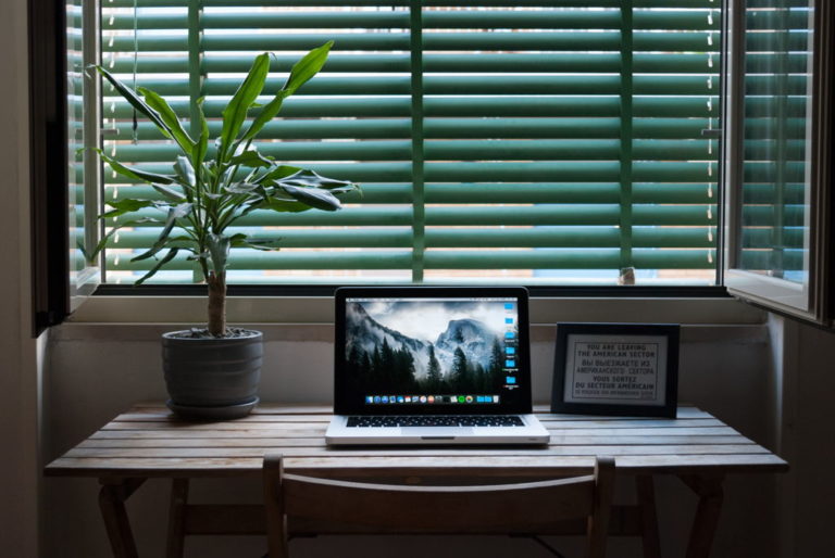 bureau avec une plante et un pc